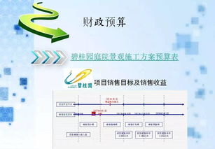 碧桂園項目策劃與公關服務 創(chuàng)新實踐與策略解析