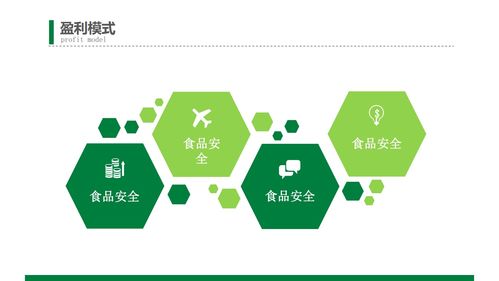 綠色食品商業創業計劃書