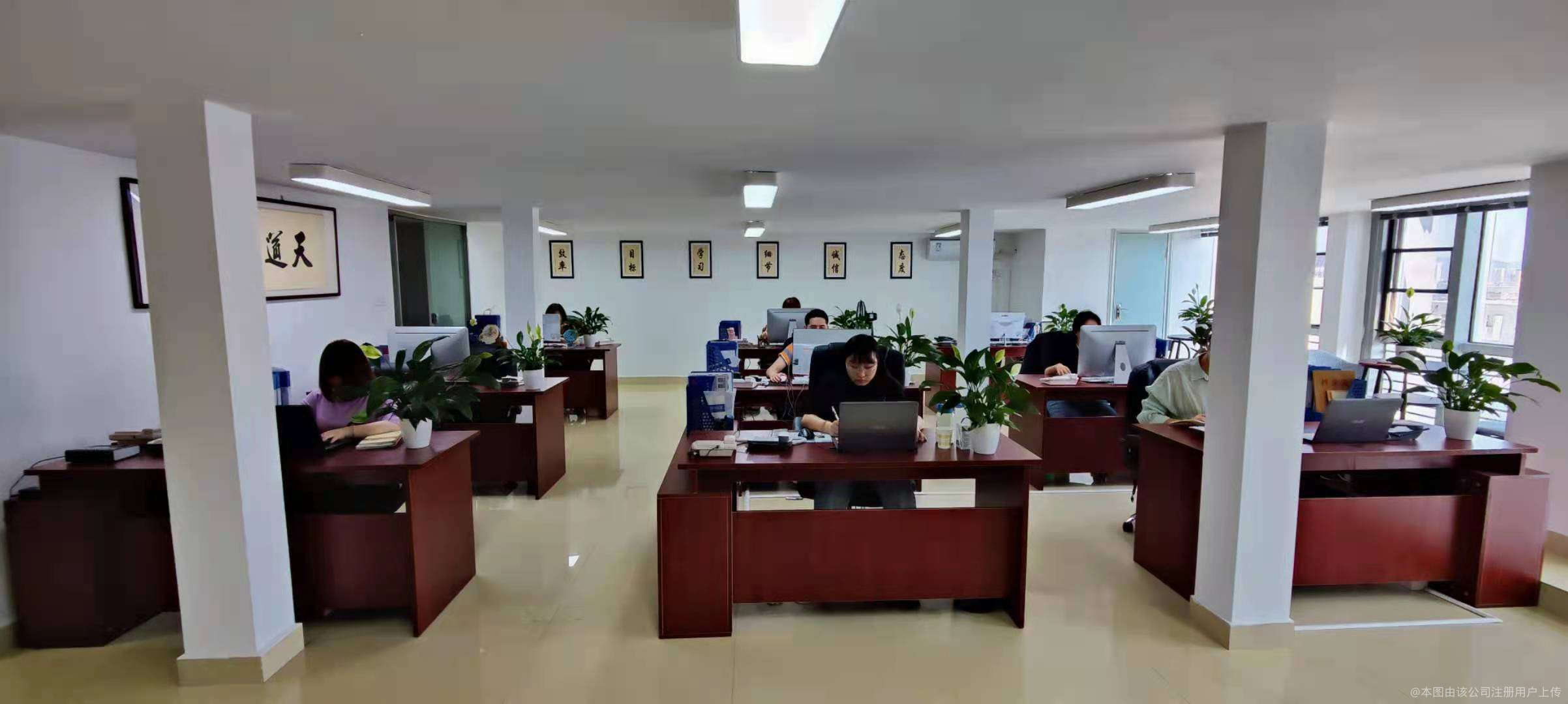 福建鴻鑫凱龍 以智慧賦能企業，用咨詢服務擘畫管理新藍圖
